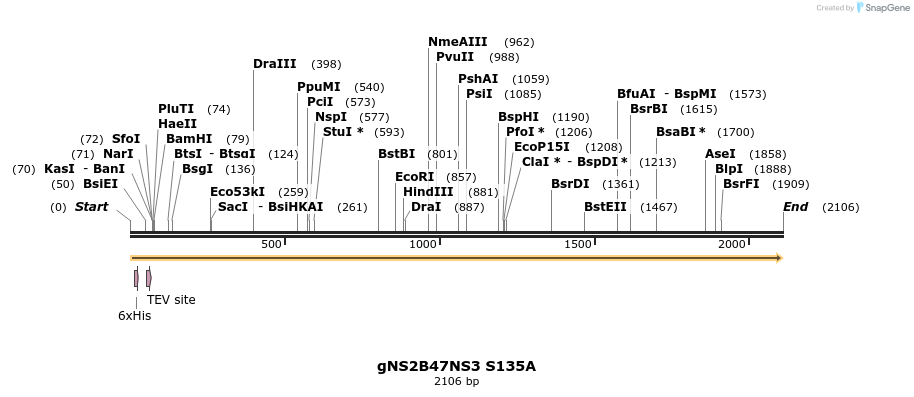 306862_map