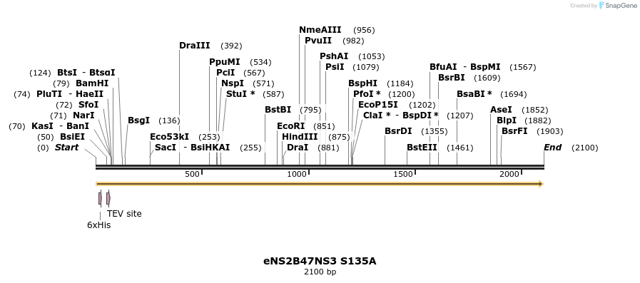 306863_map