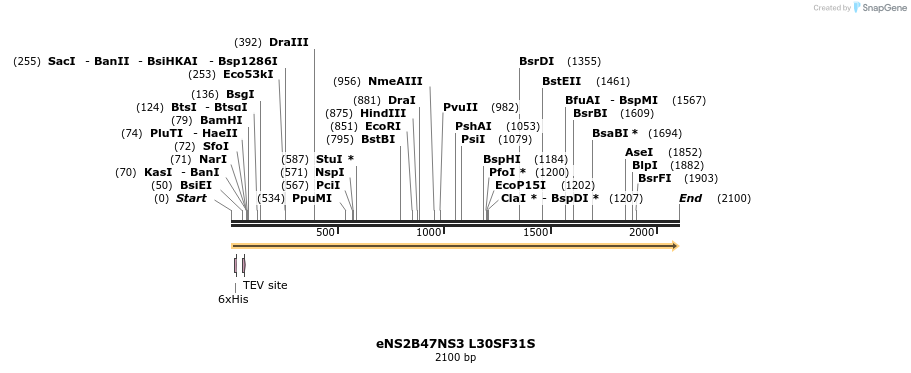306864_map