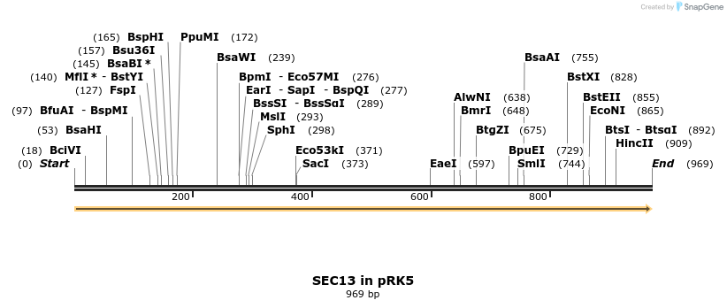 306884_map