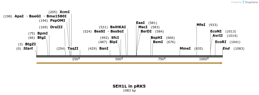 306885_map