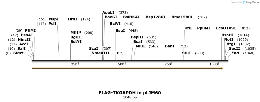 306886_map