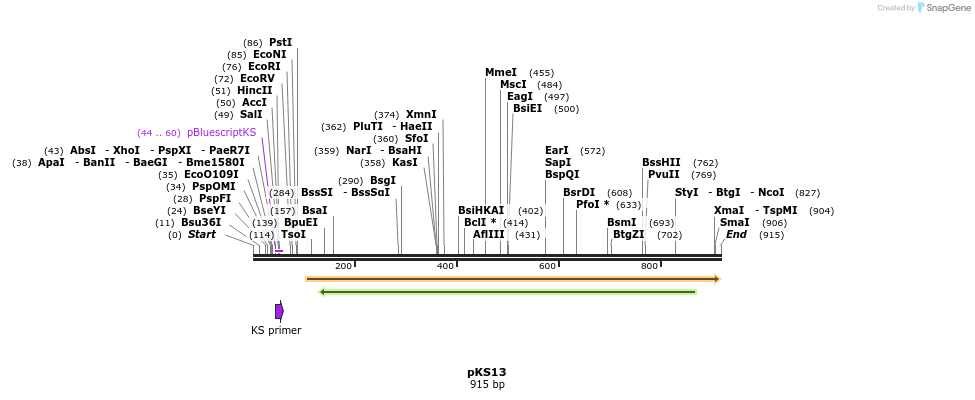 30690_map