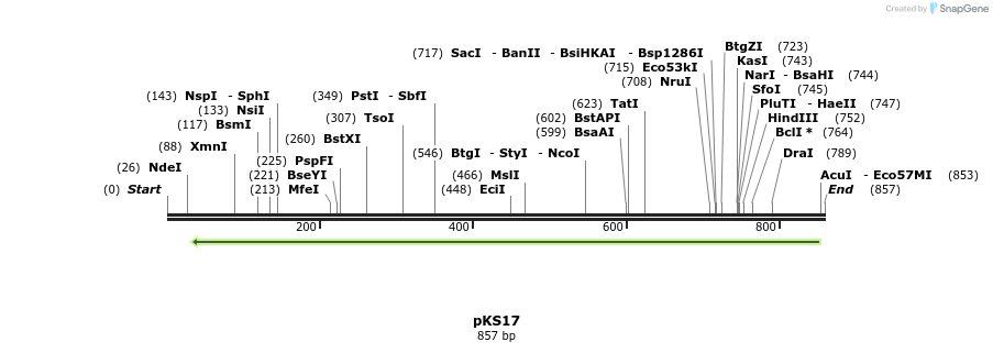 30691_map