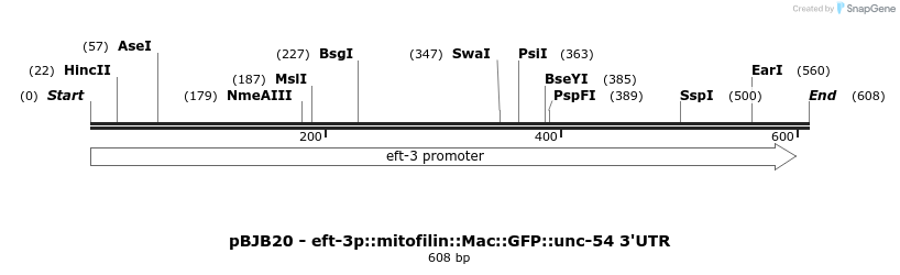 306915_map