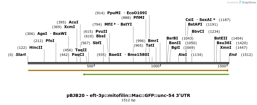 306916_map