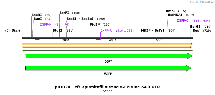 306917_map