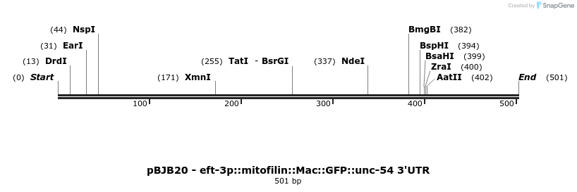 306918_map