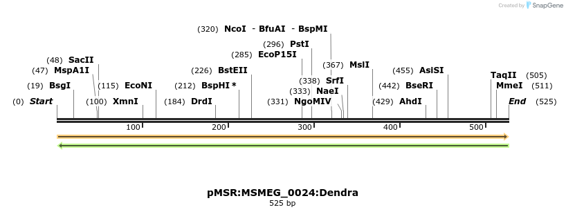 306939_map