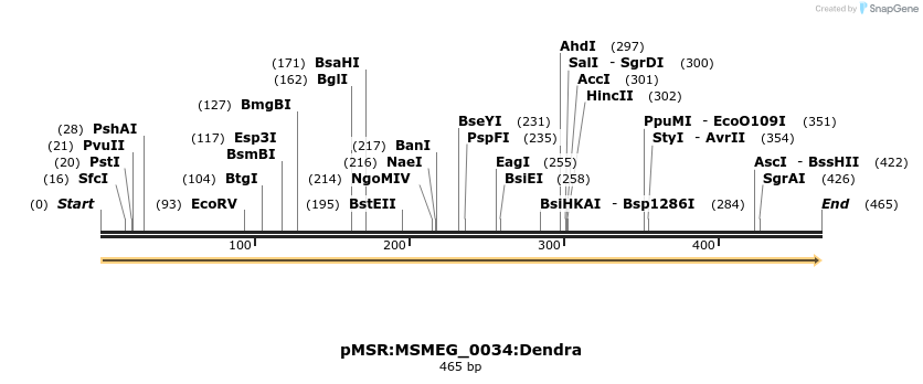 306941_map