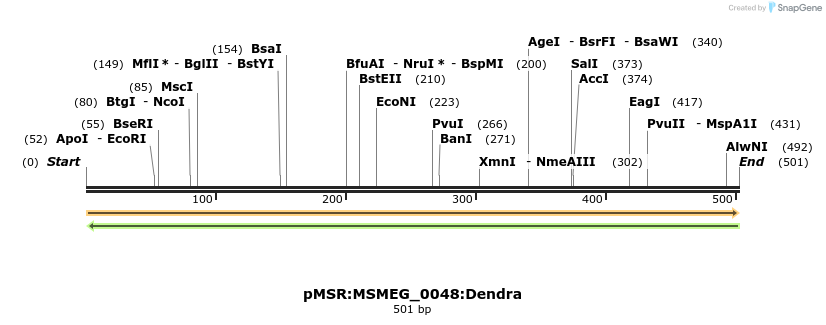 306943_map