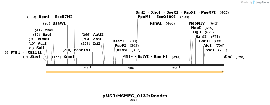 306944_map