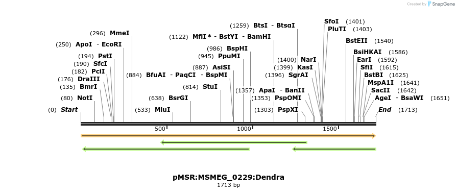 306947_map