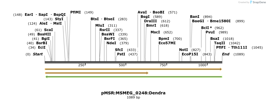 306949_map