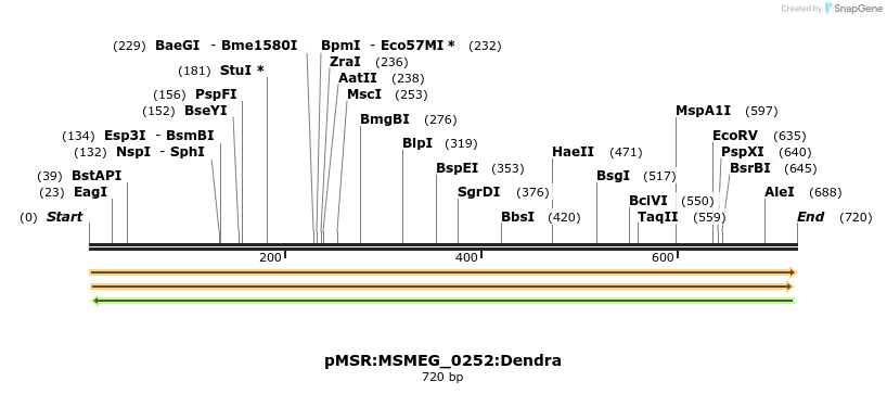 306950_map