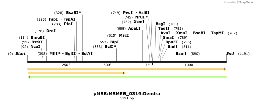 306952_map