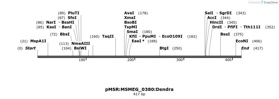 306953_map