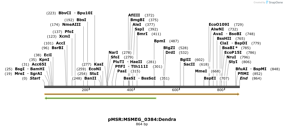 306955_map