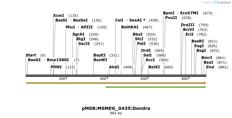 306956_map