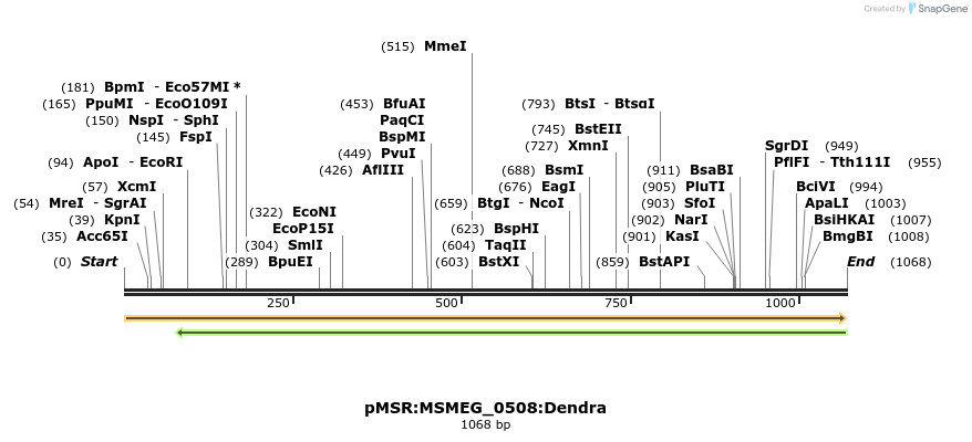 306958_map