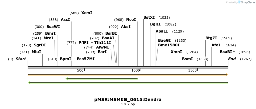 306959_map