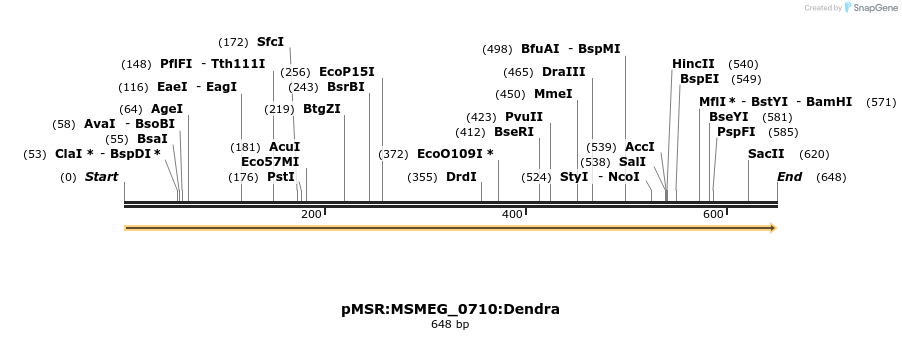 306962_map