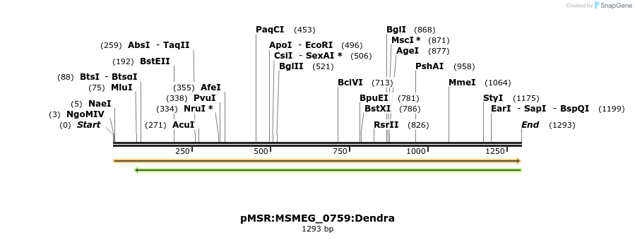 306964_map