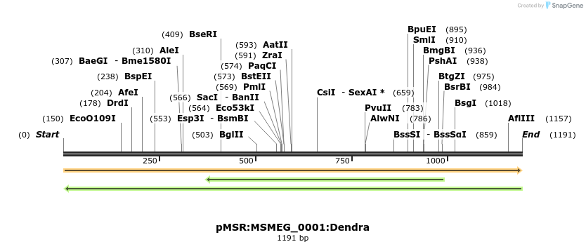 306966_map