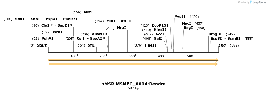 306968_map
