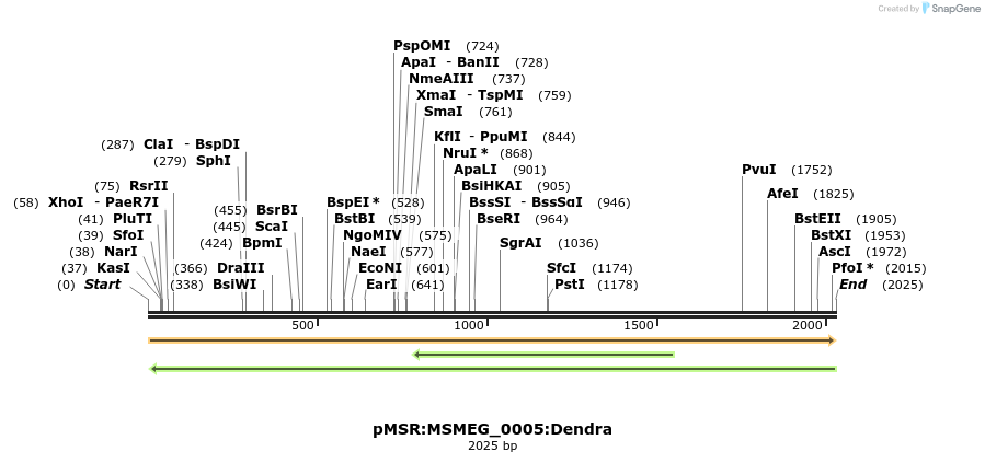 306969_map