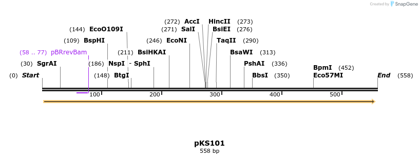 30698_map