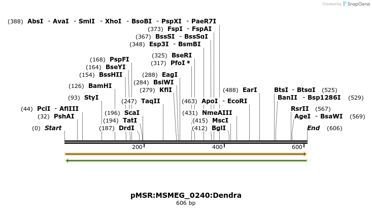 306986_map