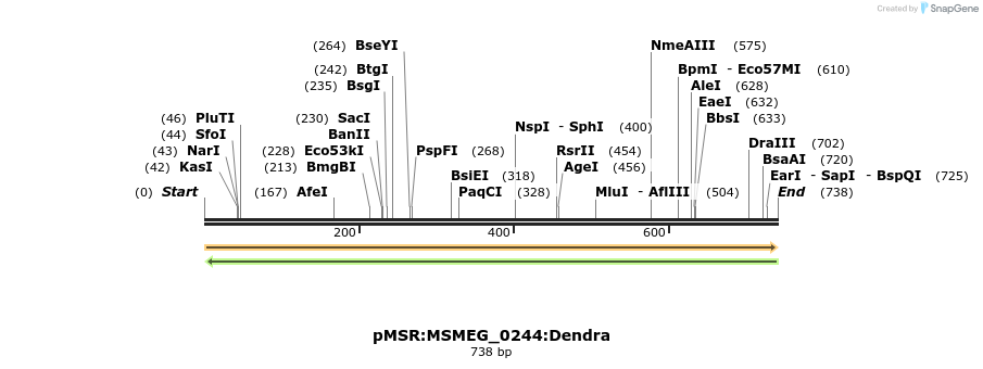 306987_map