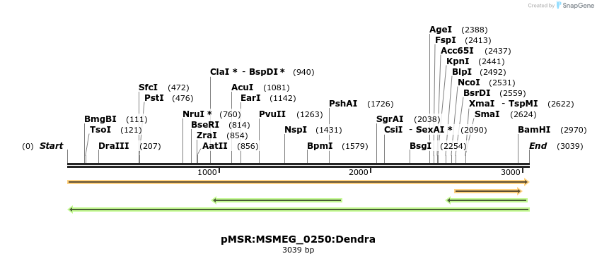 306989_map