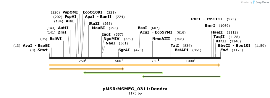 306994_map