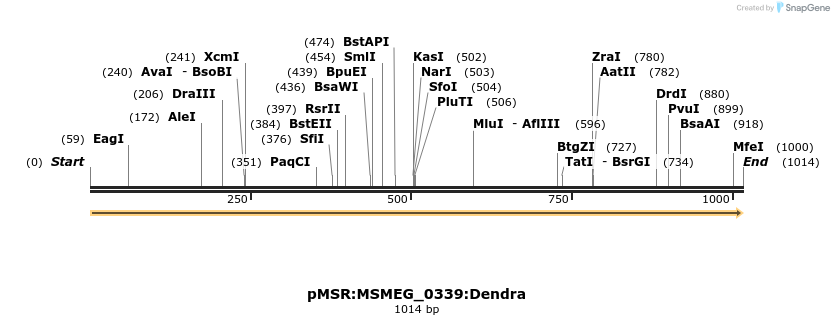 306995_map