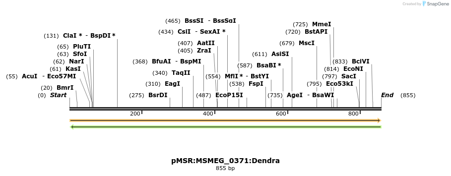 306997_map