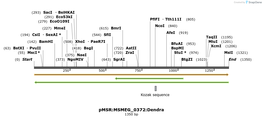 306998_map