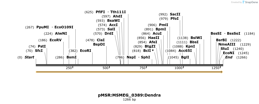 307001_map