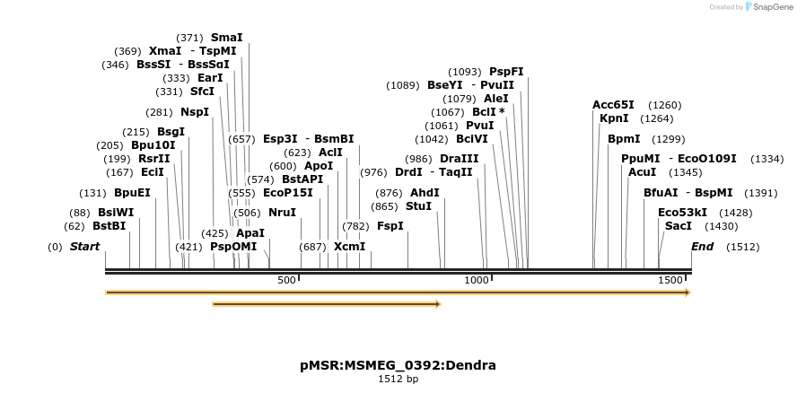 307002_map