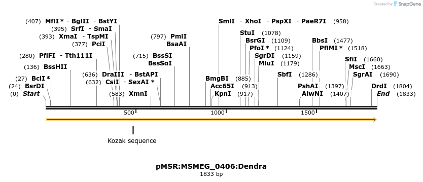 307003_map