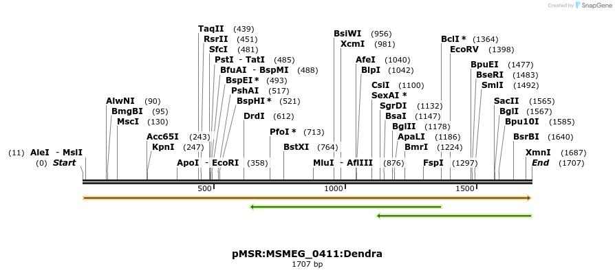 307005_map