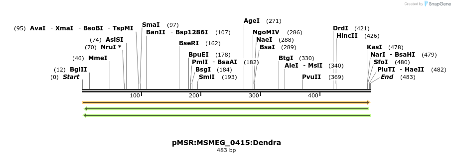 307006_map