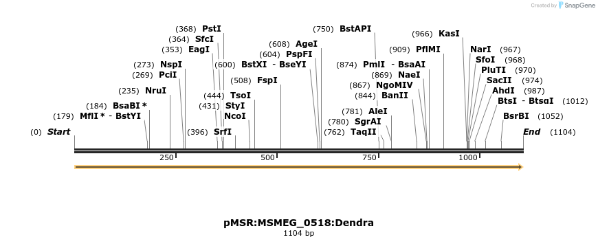 307007_map