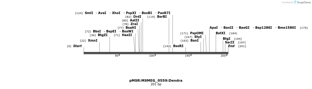 307008_map