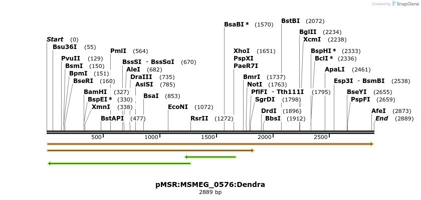307009_map