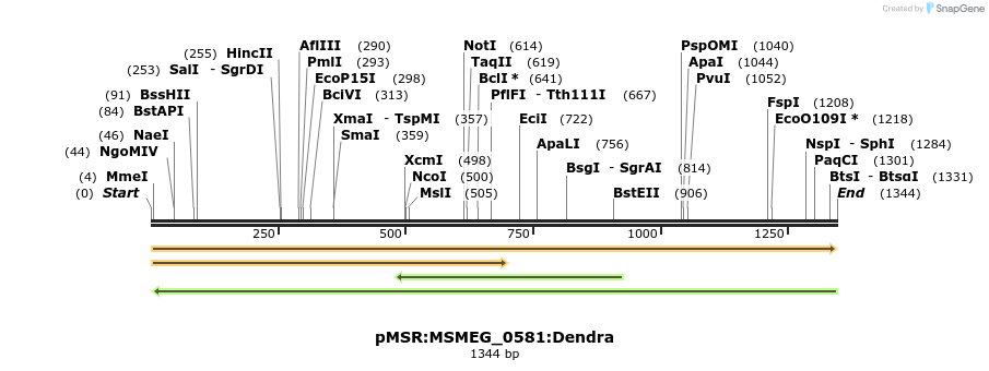 307010_map