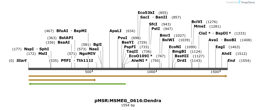 307011_map