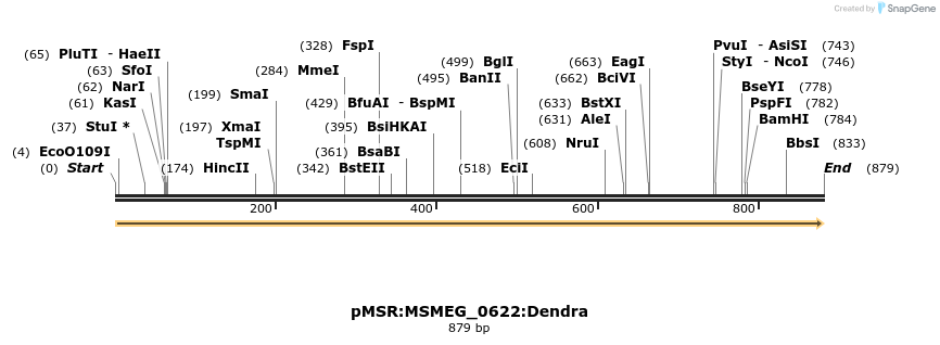 307013_map