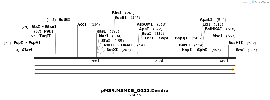 307014_map